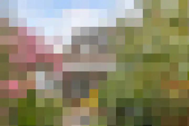 Griend 25 9 Lelystad thumbnail 35