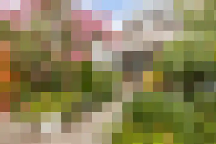 Griend 25 9 Lelystad thumbnail 36