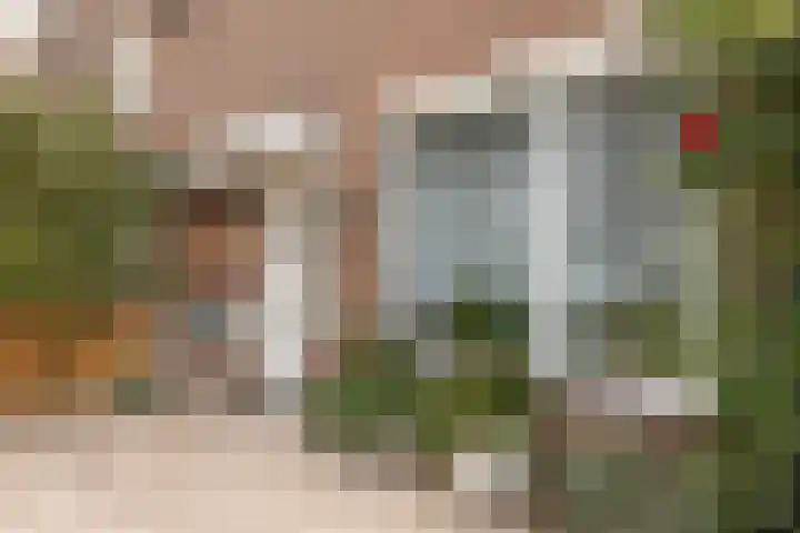 Griend 25 9 Lelystad thumbnail 37