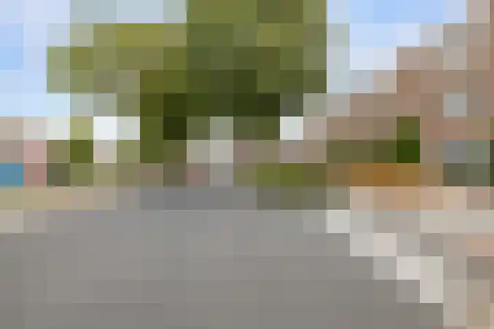 Griend 25 9 Lelystad thumbnail 39