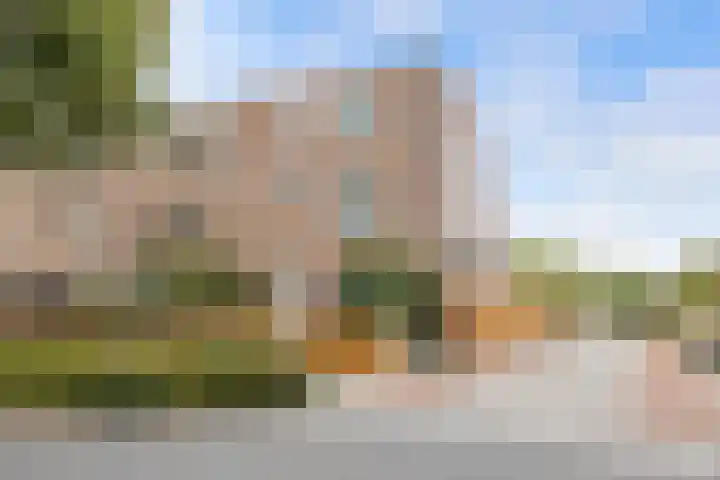 Griend 25 9 Lelystad thumbnail 40