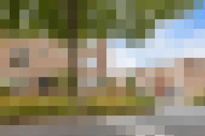 Griend 25 9 Lelystad thumbnail 43