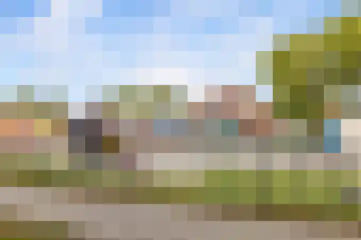 Griend 25 9 Lelystad thumbnail 45