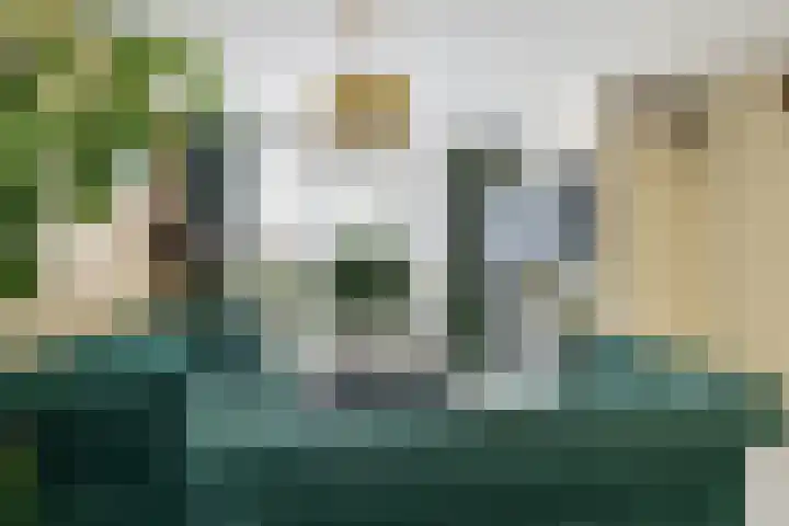 Griend 25 9 Lelystad thumbnail 6