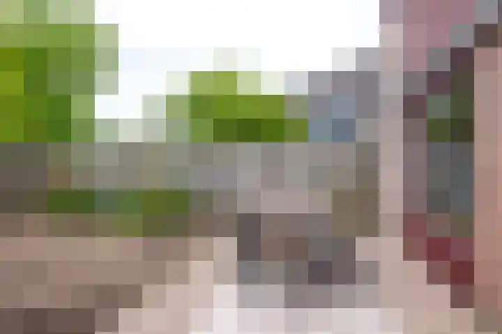 Griend 27 Elst thumbnail 16