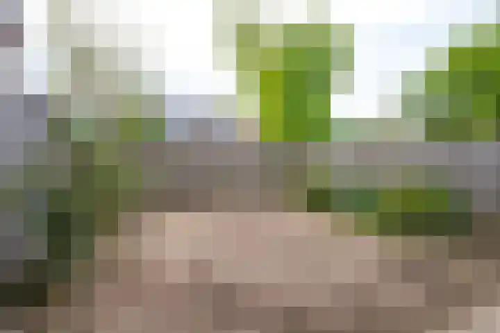 Griend 27 Elst thumbnail 17