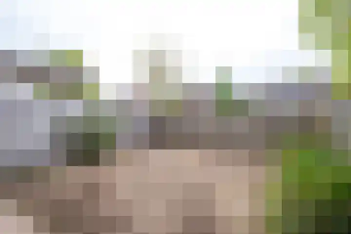 Griend 27 Elst thumbnail 18