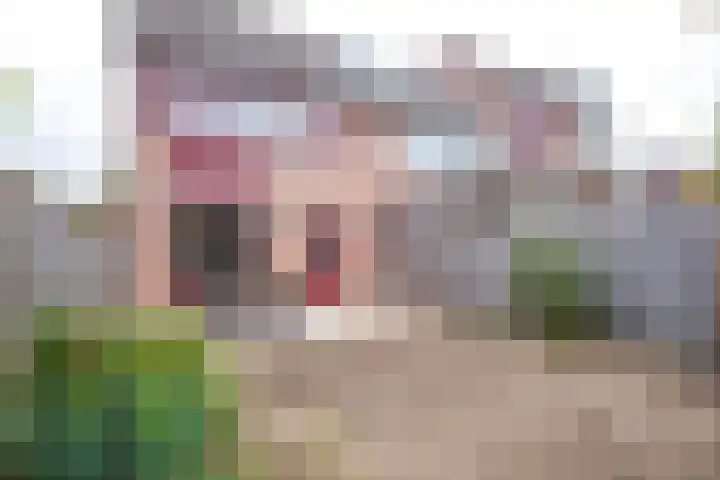 Griend 27 Elst thumbnail 20