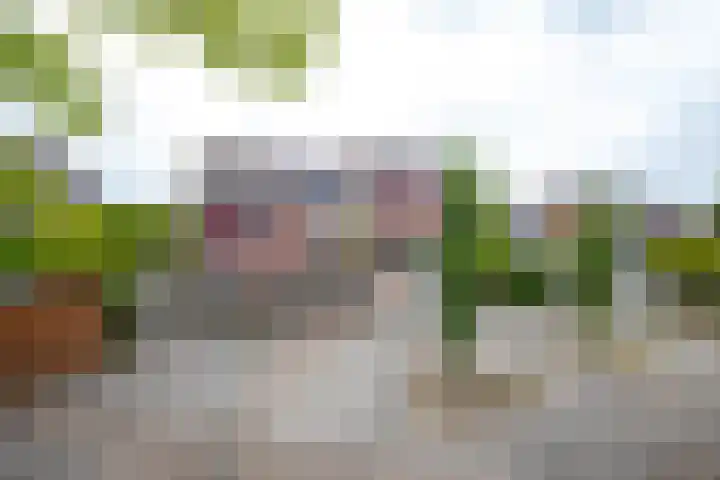 Griend 27 Elst thumbnail 22