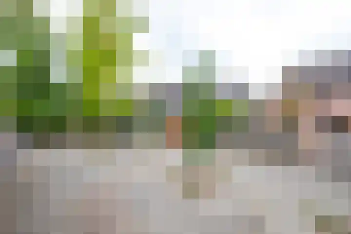 Griend 27 Elst thumbnail 23