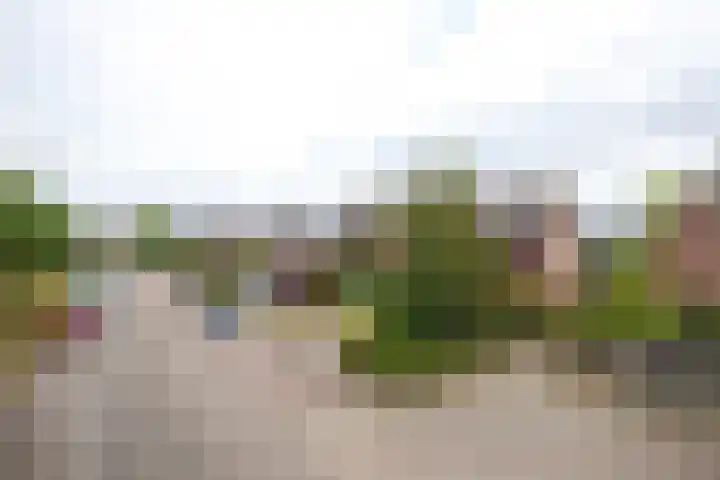 Griend 27 Elst thumbnail 39
