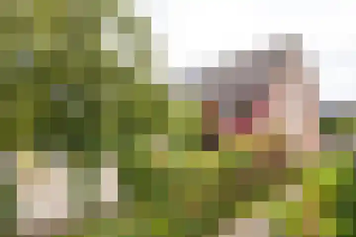 Griend 27 Elst thumbnail 4