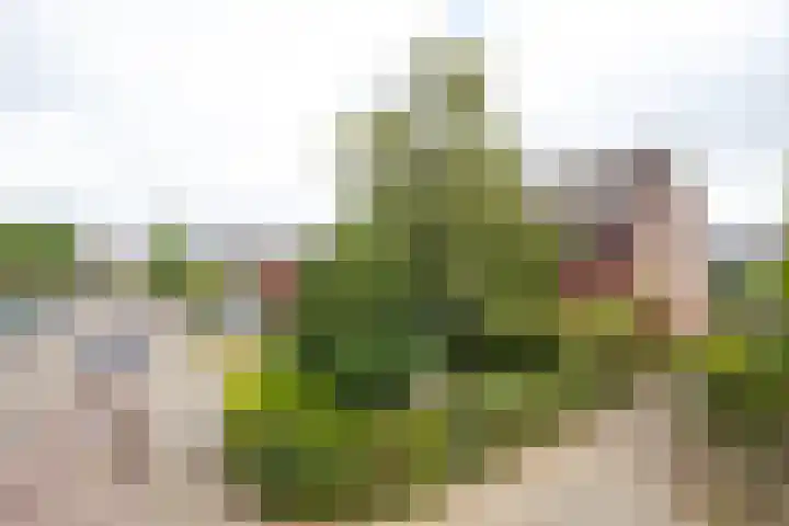 Griend 27 Elst thumbnail 41
