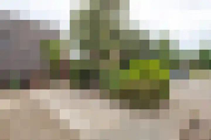 Griend 27 Elst thumbnail 5