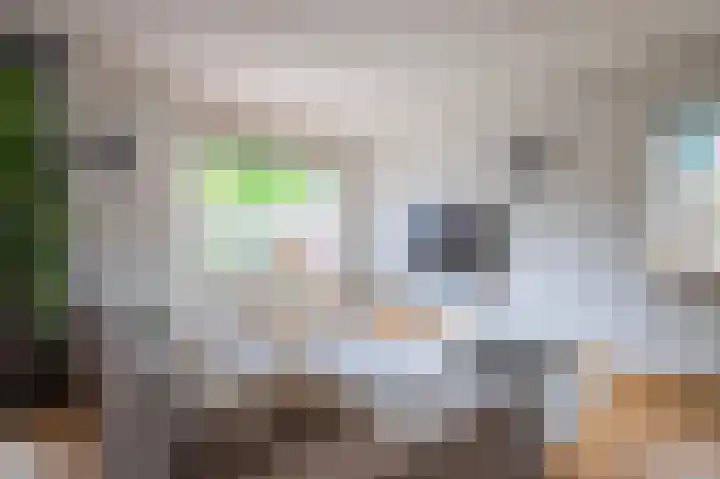 Griend 27 Elst thumbnail 9