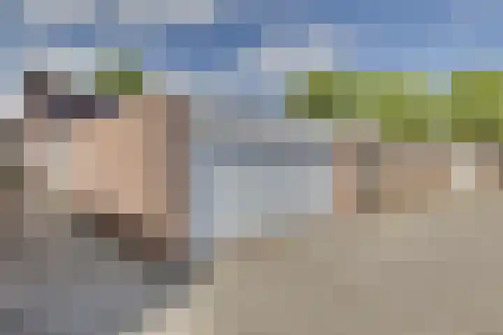 Griend 35 35 80 Lelystad thumbnail 16