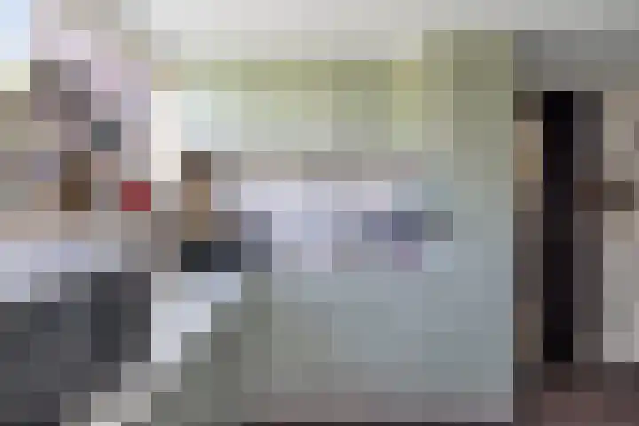 Griend 35 35 80 Lelystad thumbnail 24