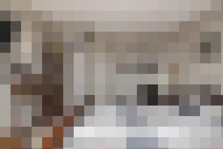 Griend 35 35 80 Lelystad thumbnail 31