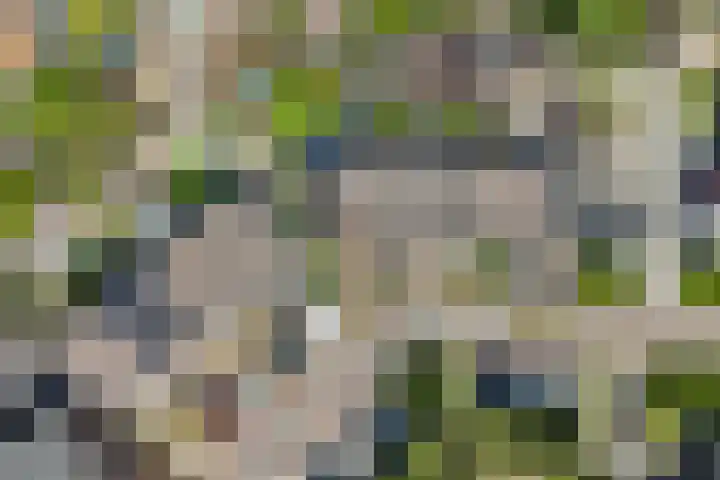 Griend 35 35 80 Lelystad thumbnail 37