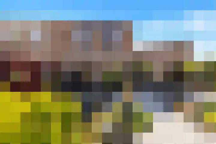 Griend 35 35 80 Lelystad thumbnail 38