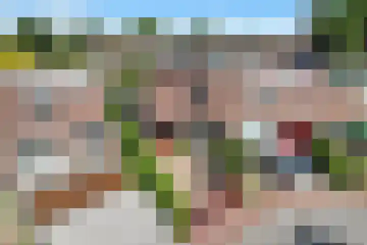 Griend 35 35 80 Lelystad thumbnail 4