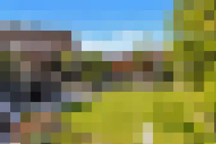 Griend 35 35 80 Lelystad thumbnail 40