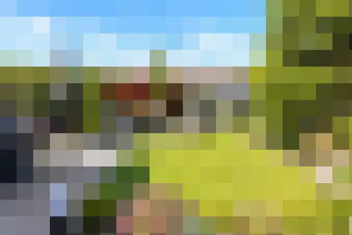 Griend 35 35 80 Lelystad thumbnail 41