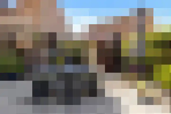 Griend 35 35 80 Lelystad thumbnail 43