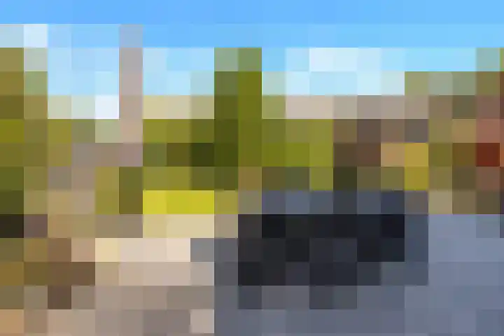 Griend 35 35 80 Lelystad thumbnail 44