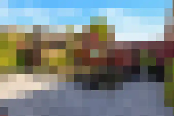 Griend 35 35 80 Lelystad thumbnail 46