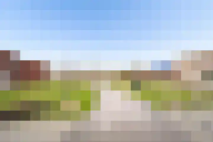Griend 35 35 80 Lelystad thumbnail 7