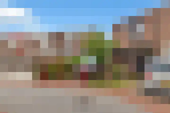 Griend 35 35 80 Lelystad thumbnail 7