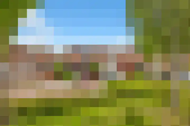 Griend 35 35 80 Lelystad thumbnail 8