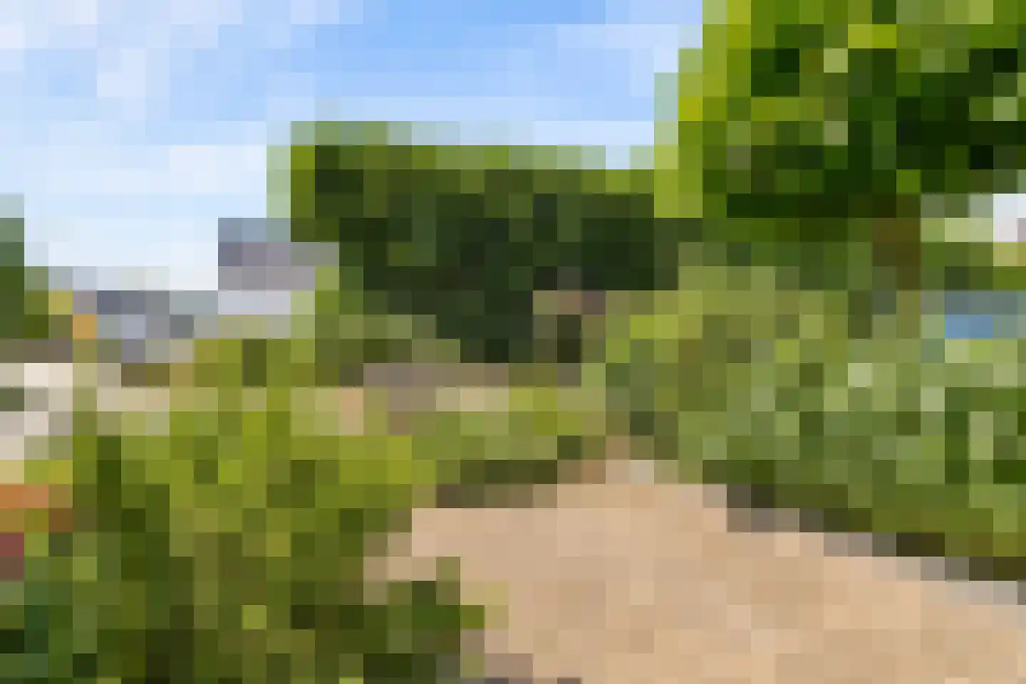 Griend 36 10 Lelystad thumbnail 39