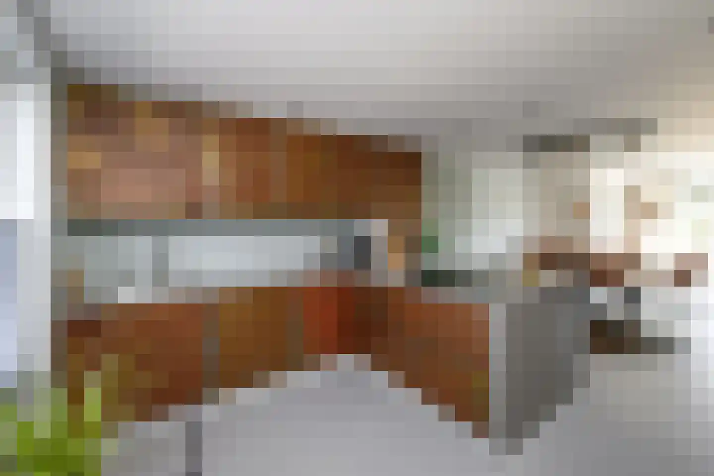 Griend 36 Huizen thumbnail 11