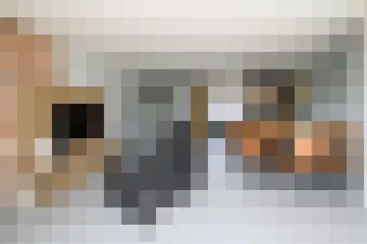 Griend 36 Huizen thumbnail 15