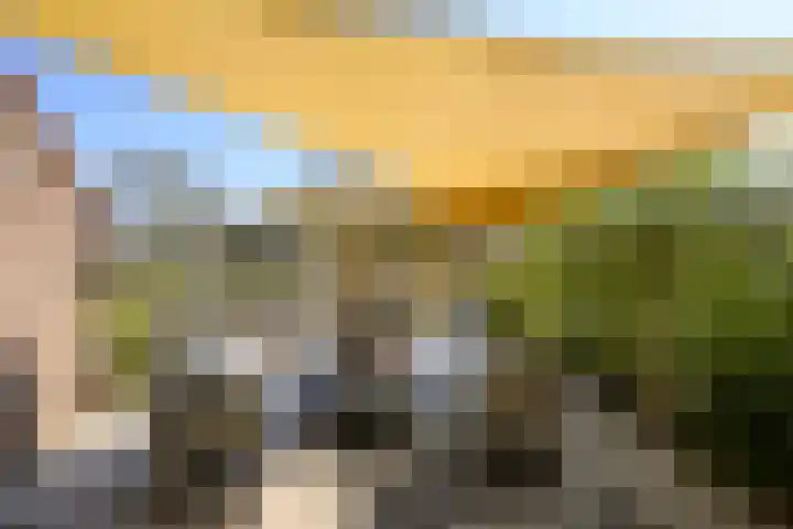Griend 36 Huizen thumbnail 17