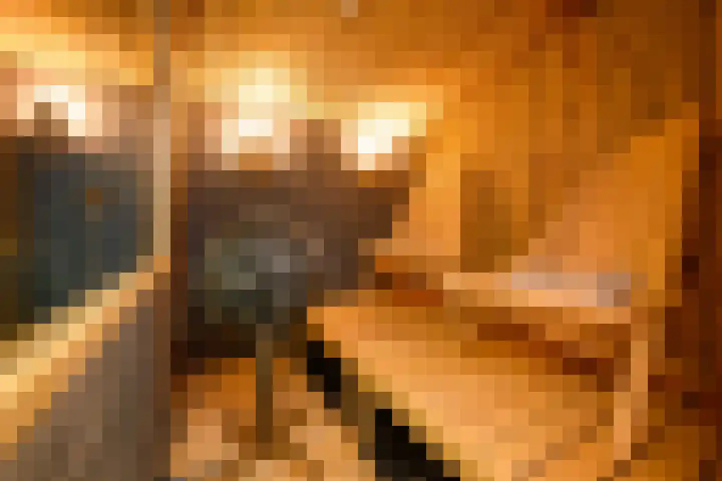 Griend 36 Huizen thumbnail 28