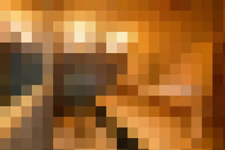 Griend 36 Huizen thumbnail 28