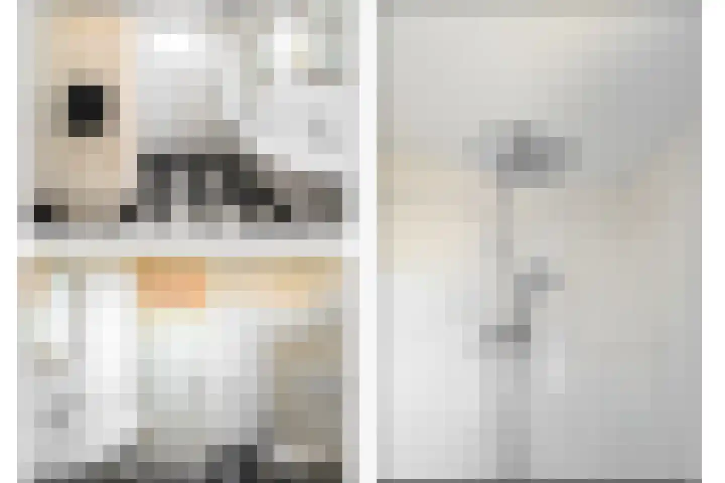 Griend 36 Huizen thumbnail 32