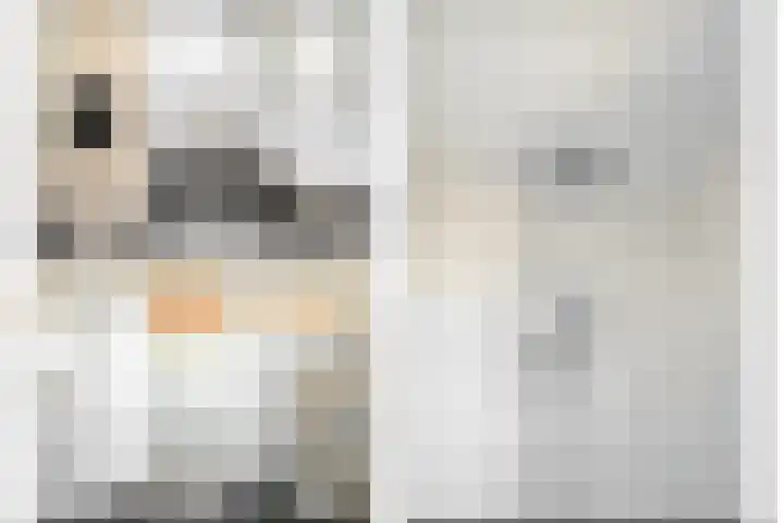 Griend 36 Huizen thumbnail 32