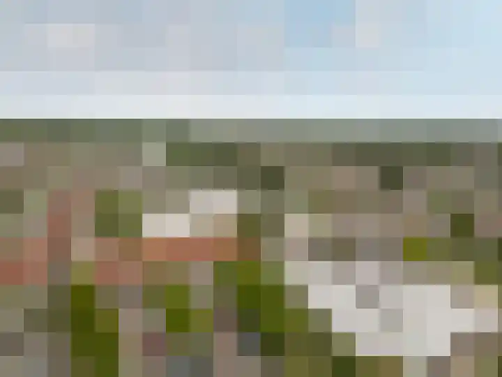 Griend 37 34 Lelystad thumbnail 43