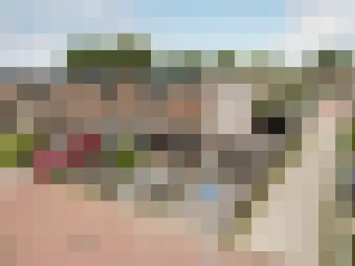 Griend 37 37 34 Lelystad thumbnail 41