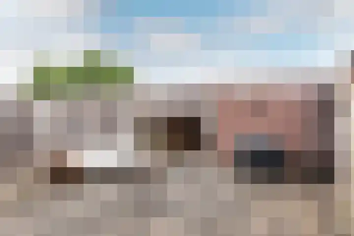 Griend 37 37 36 Lelystad thumbnail 25