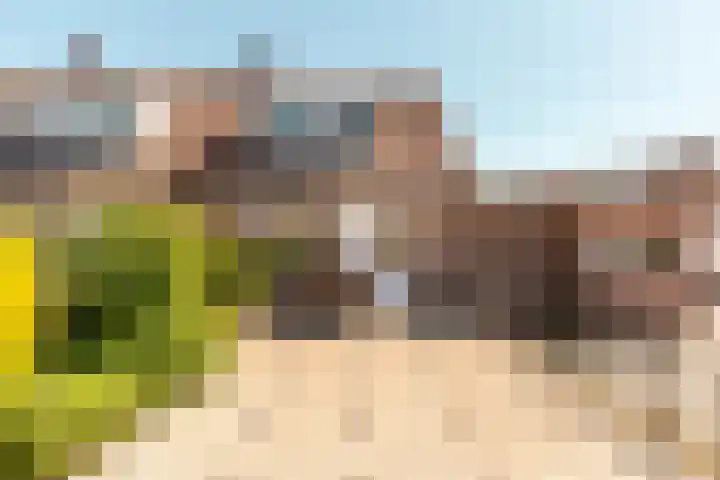 Griend 37 7 Lelystad thumbnail 34