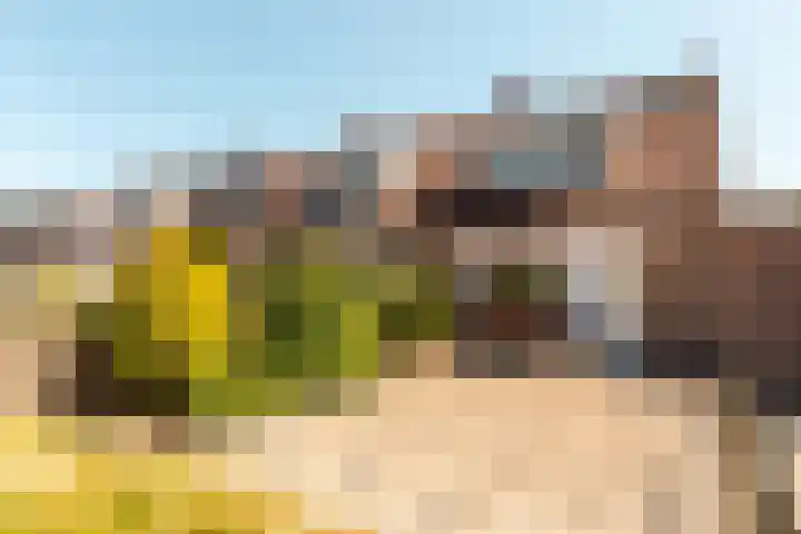 Griend 37 7 Lelystad thumbnail 35