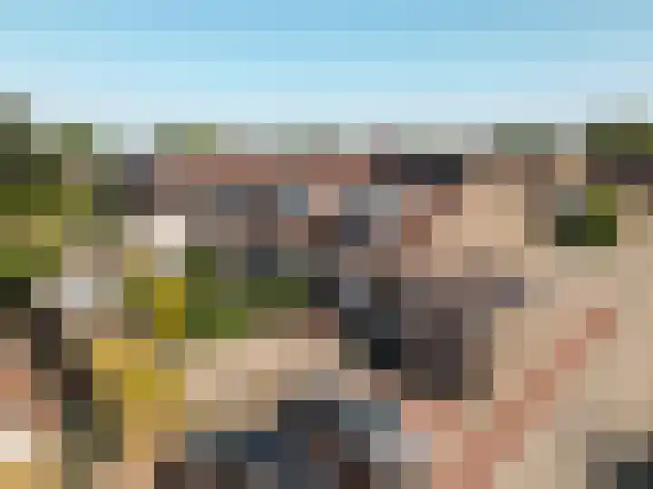 Griend 37 7 Lelystad thumbnail 38
