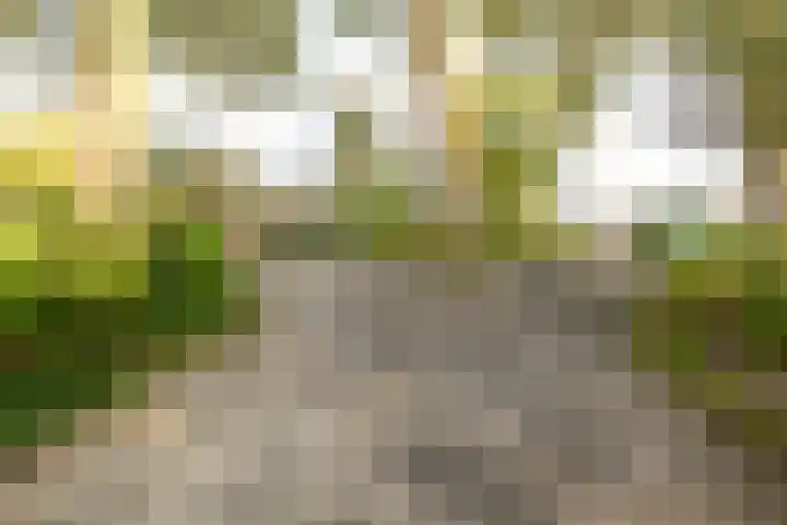 Griend 37 Elst thumbnail 10