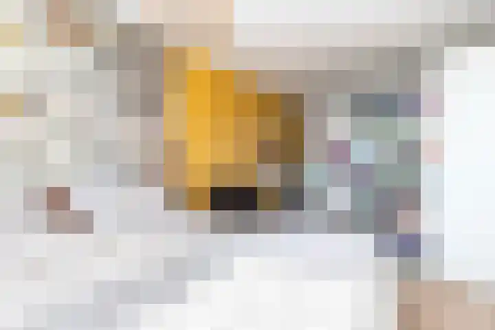 Griend 37 Elst thumbnail 22