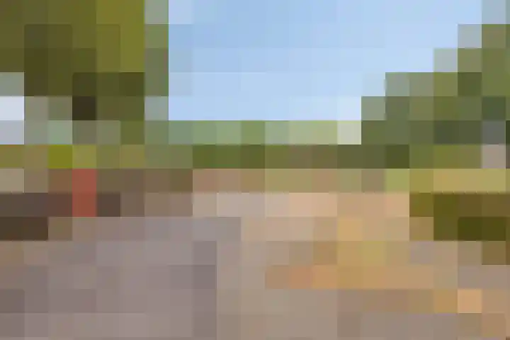 Griend 37 Elst thumbnail 31